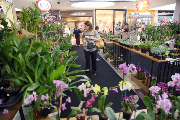 Festival de Orquídeas no Riopreto Shopping traz espécies raras