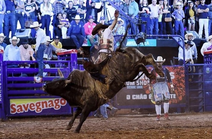 Rodeio, a estrela da Festa do Peão de Barretos - Cavalus