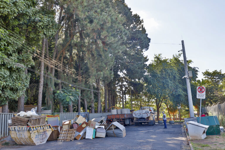 Prefeitura inicia plano de manejo para gatos na Represa Municipal