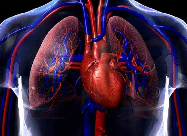 Nova opção de tratamento para doenças circulatórias, por Prof. Dr. Sthefano Atique Gabriel