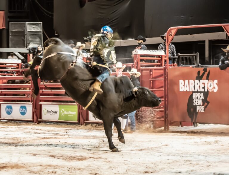 Festa do Peão de Barretos tem edição especial virtual com rodeios e shows