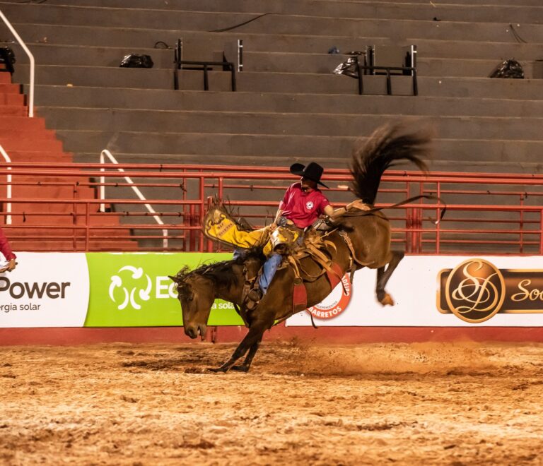 Barretos aposta em live para fomentar rodeio