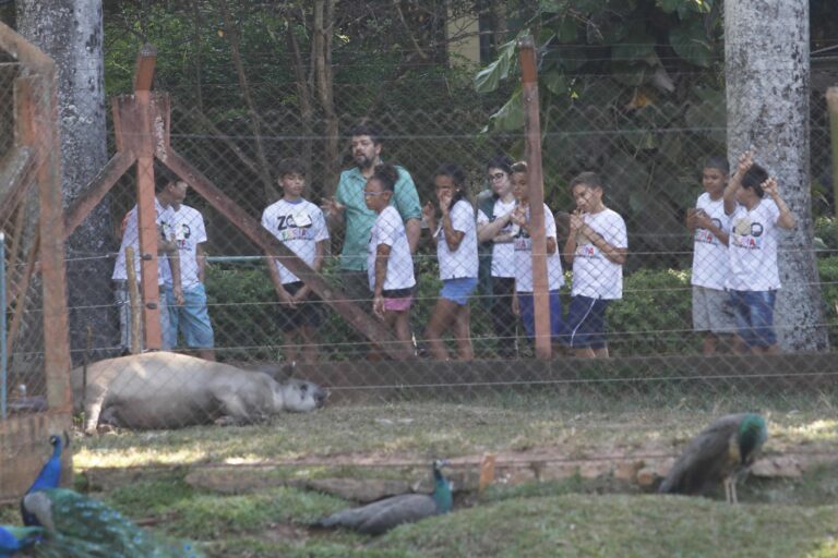 Zoo Férias abre inscrições no dia 10/01, segunda-feira