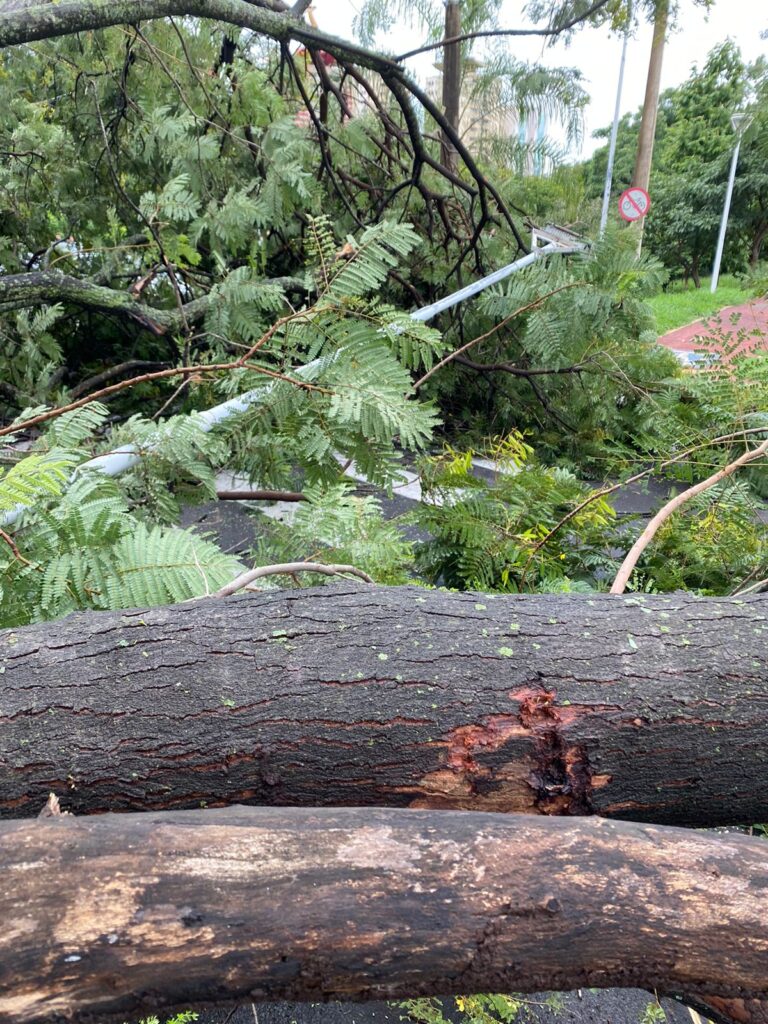 Rio Preto coloca equipes nas ruas para reparar os estragos das chuvas
