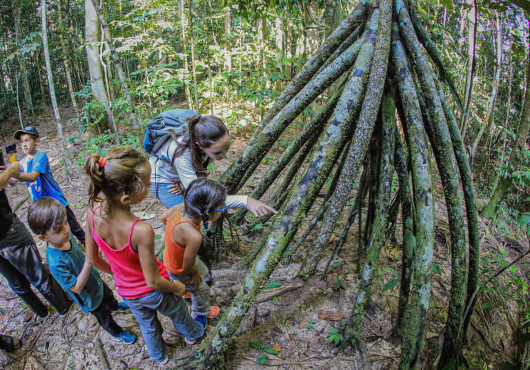 Amazonia: Cristalino Lodge lança programa para viagens em família com crianças