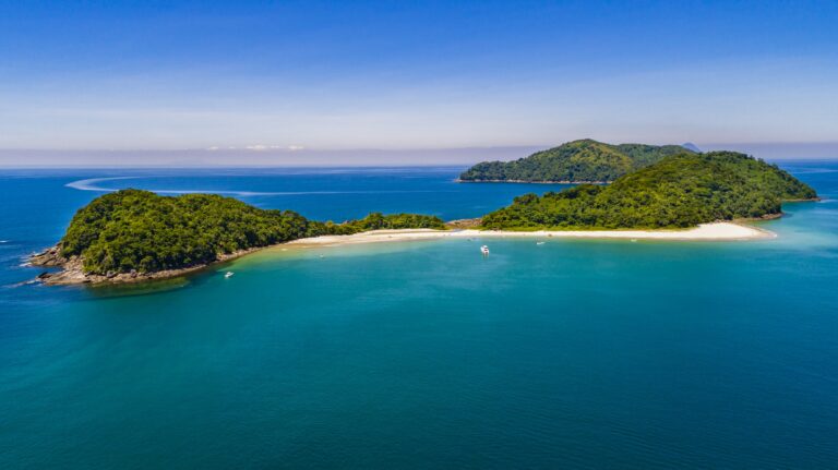 Turismo Náutico e Observação de Baleias são temas do Conexidades