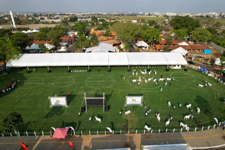 Expo Rio Preto SICREDI comemora edição com recorde de animais