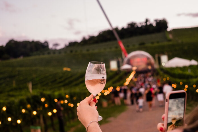 Natal nos Vinhedos tem opções enogastronômicas na Serra Gaúcha