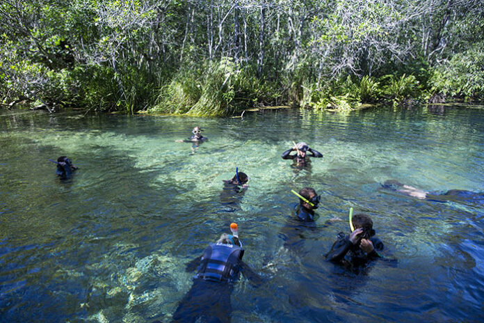 Flutuação em Bonito (MS): saiba qual o melhor rio para cada perfil de viagem