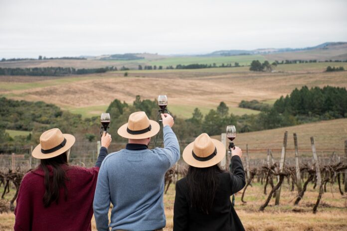 Vinícola Almadén lança passeio com paleotoca