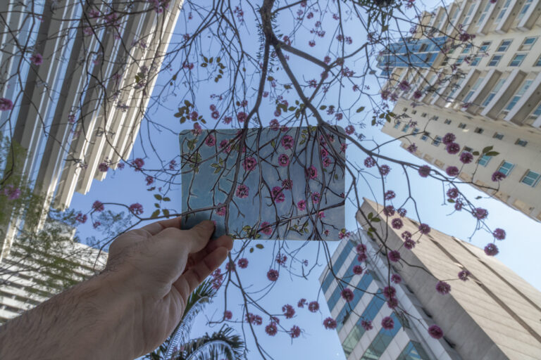 Paulista Cultural promove atividades gratuitas no dia 7 de dezembro, em celebração aos 134 anos da Avenida Paulista