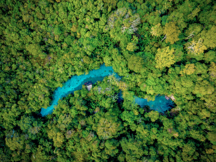 Nascente Azul é o atrativo mais visitado de Bonito