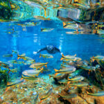 Bonito - Nascente Azul é referência em acessibilidade