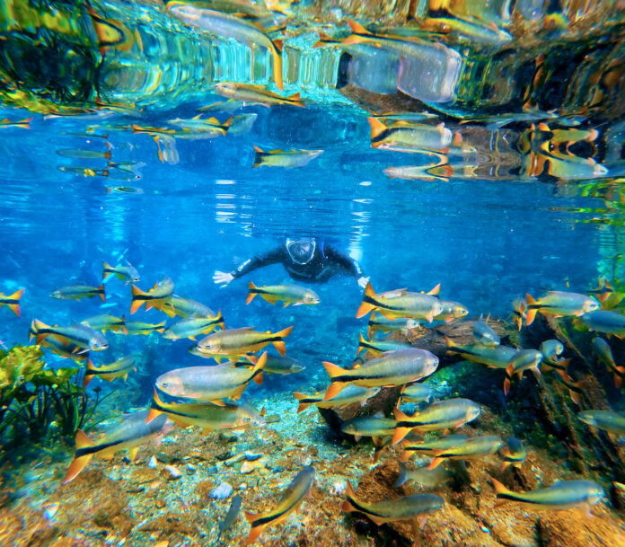 Bonito - Nascente Azul é referência em acessibilidade