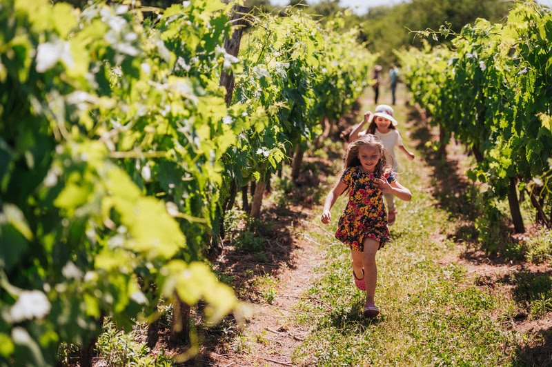 Bodega uruguaia. (Javier Villauso/Divulgação)